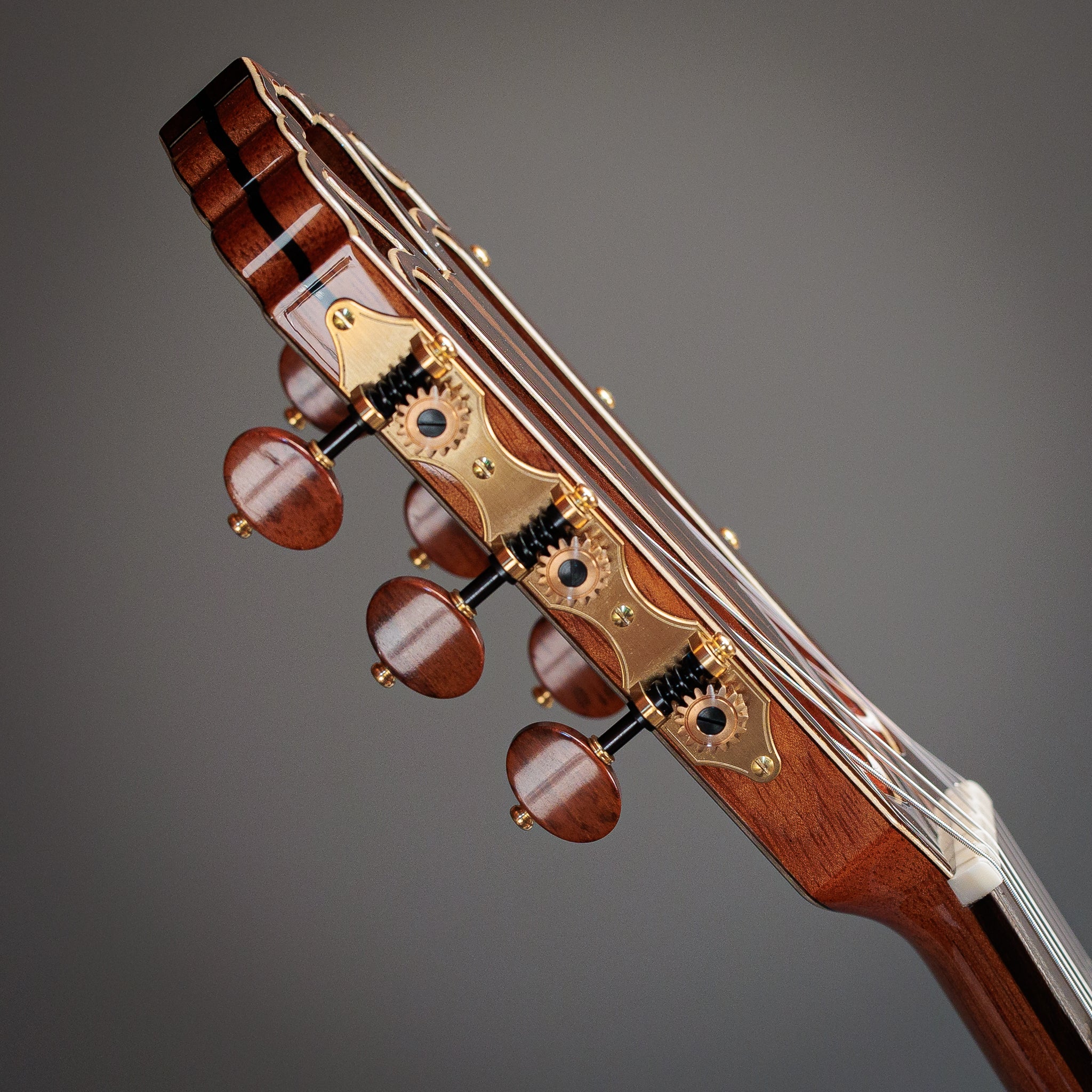 Hanika Professional Line 1a DTL Classical Guitar