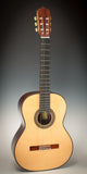 Alhambra Linea Profesional Spruce Top Classical Guitar