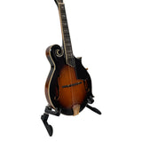 Gold Tone FitsAll Stringed Instrument Stand
