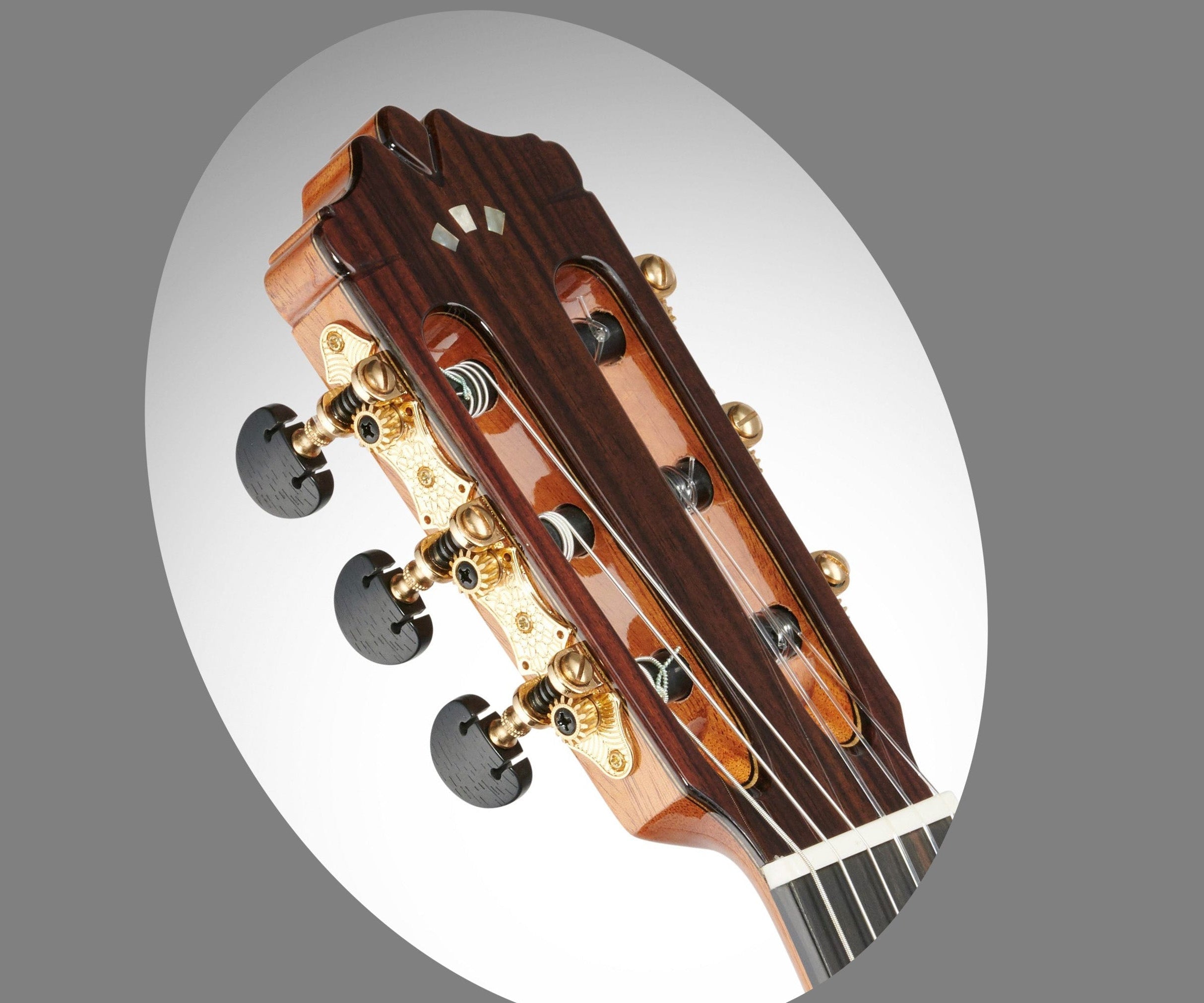 Cordoba C12 Tuning Machines