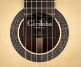 Cordoba Torres Spruce Top Classical Guitar