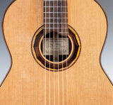 Hanika Professional Line 1a DTL Classical Guitar