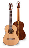 Hanika HE Torres Cedar Top Classical Guitar