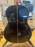 Hanika Professional Line 1a DTL Classical Guitar