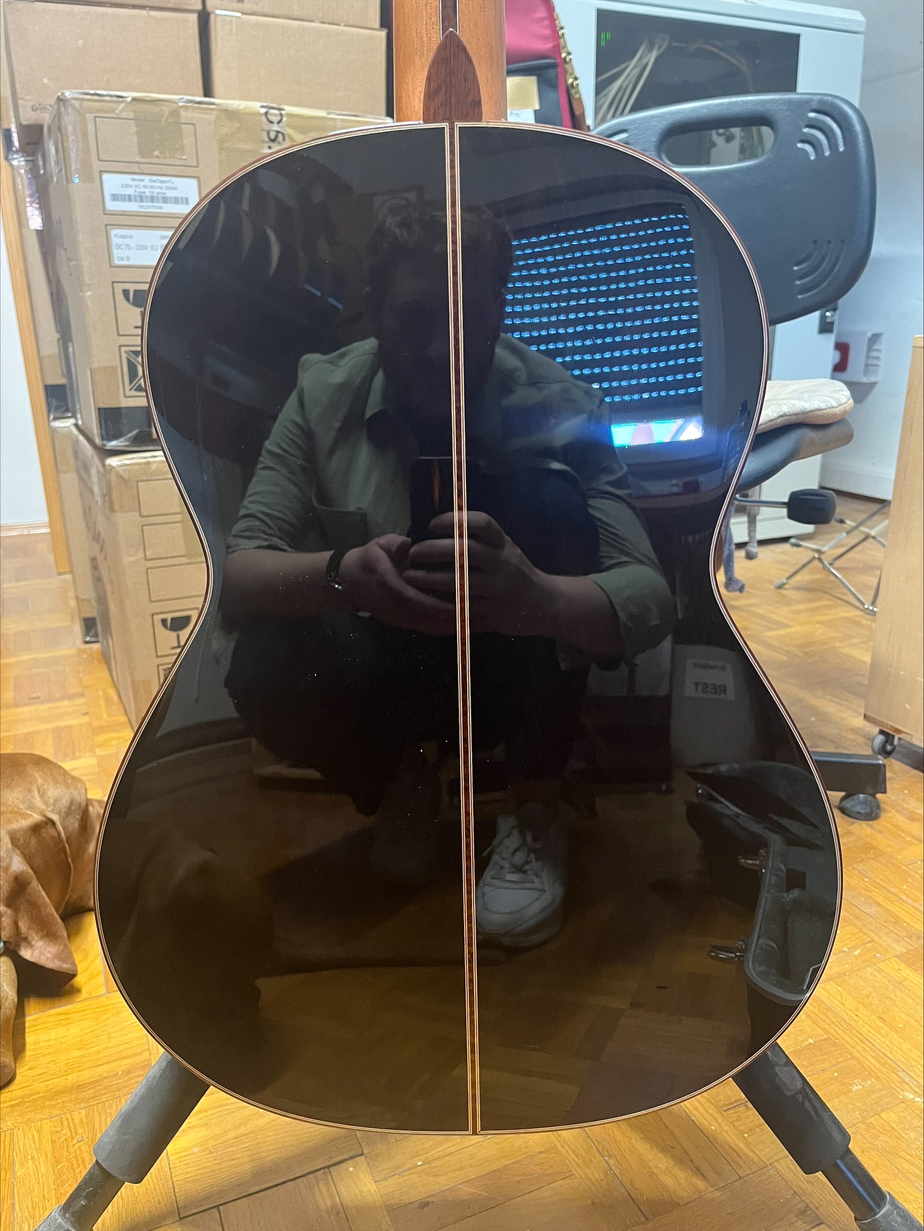 Hanika Professional Line 1a DTL Classical Guitar