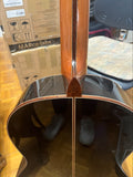 Hanika Professional Line 1a DTL Classical Guitar