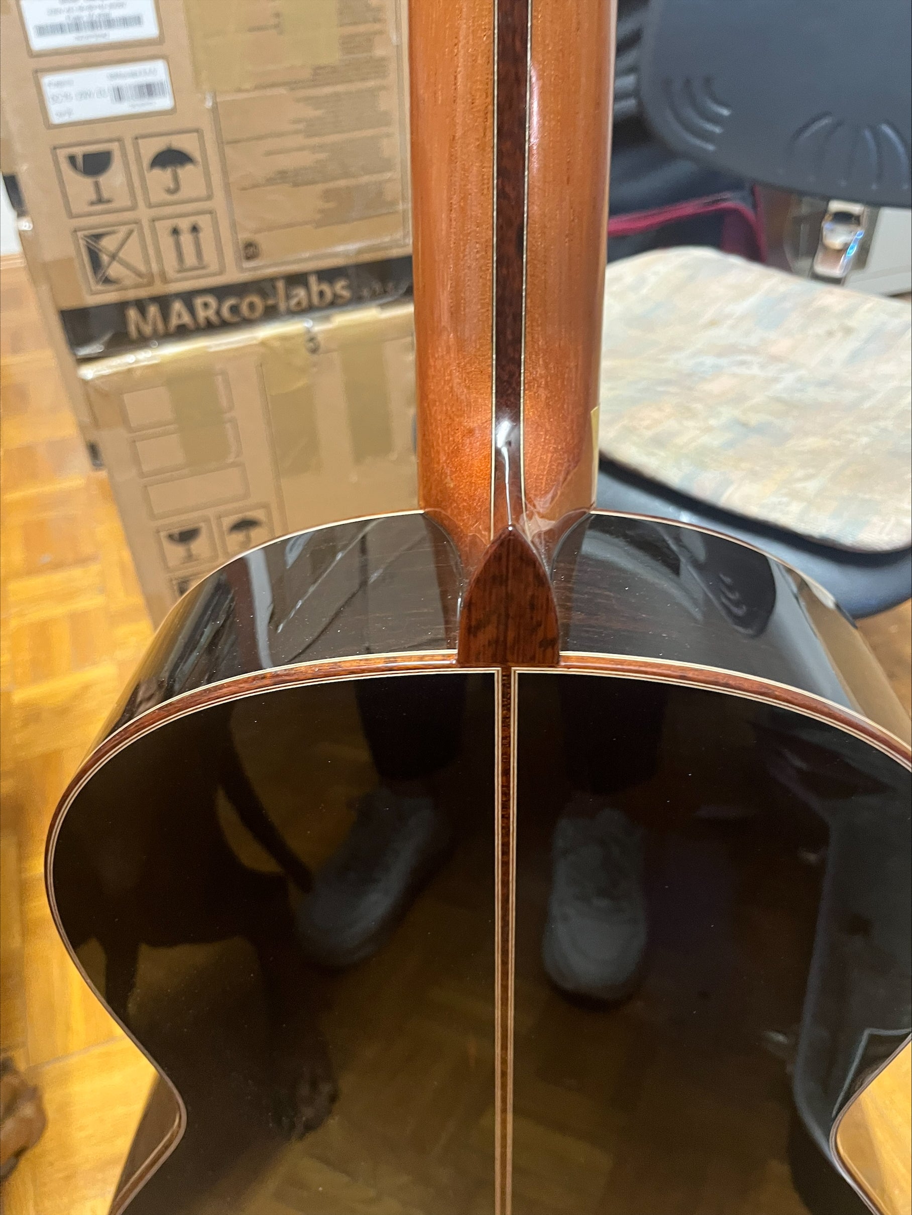 Hanika Professional Line 1a DTL Classical Guitar