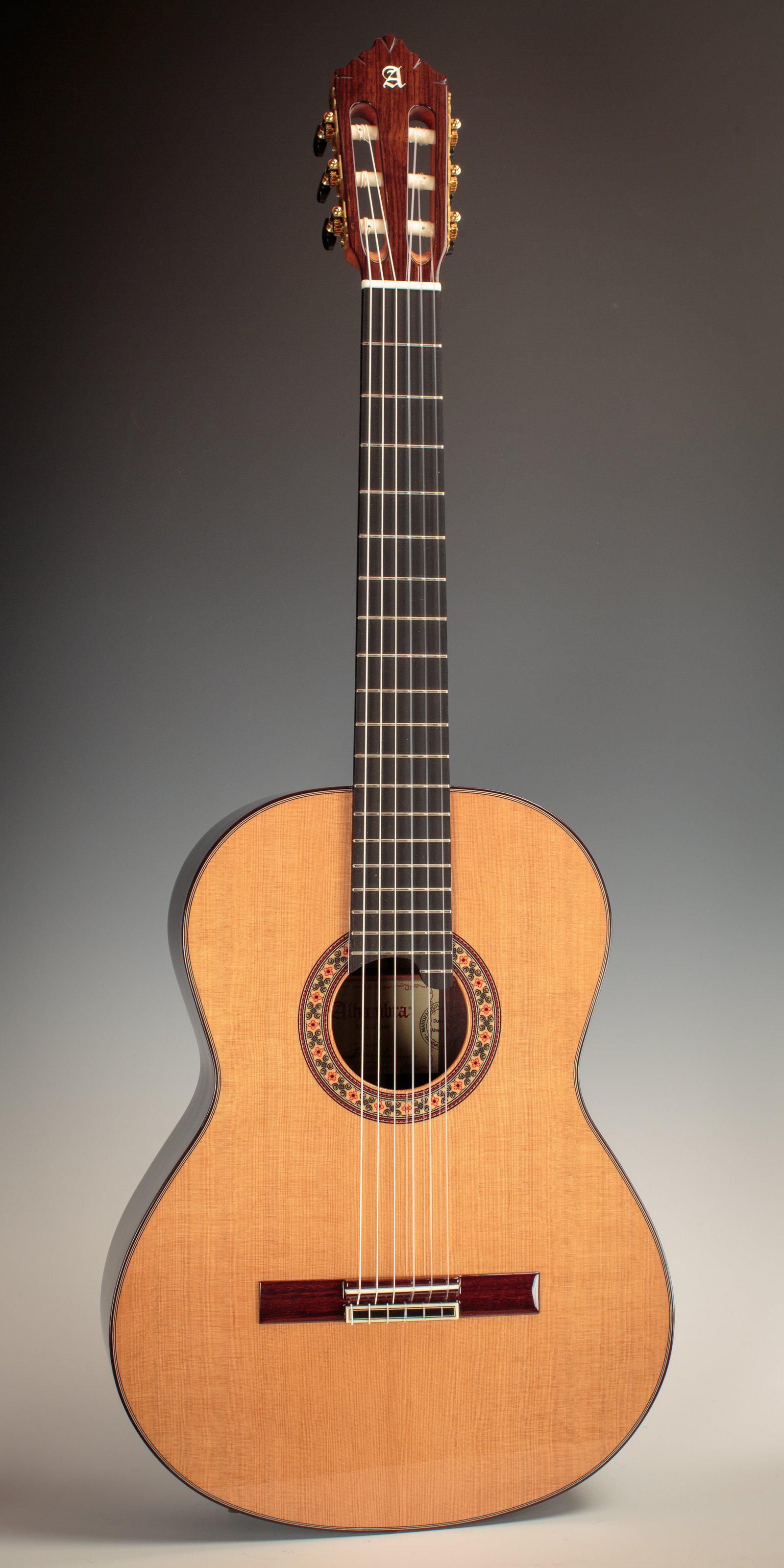 Alhambra 10fc flamenco guitar sales