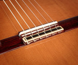 Alhambra 10 Premier Classical Guitar