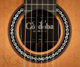 Cordoba C10 Cedar Top Classical Guitar