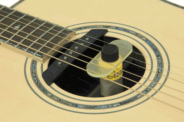 Guitar humidifier online